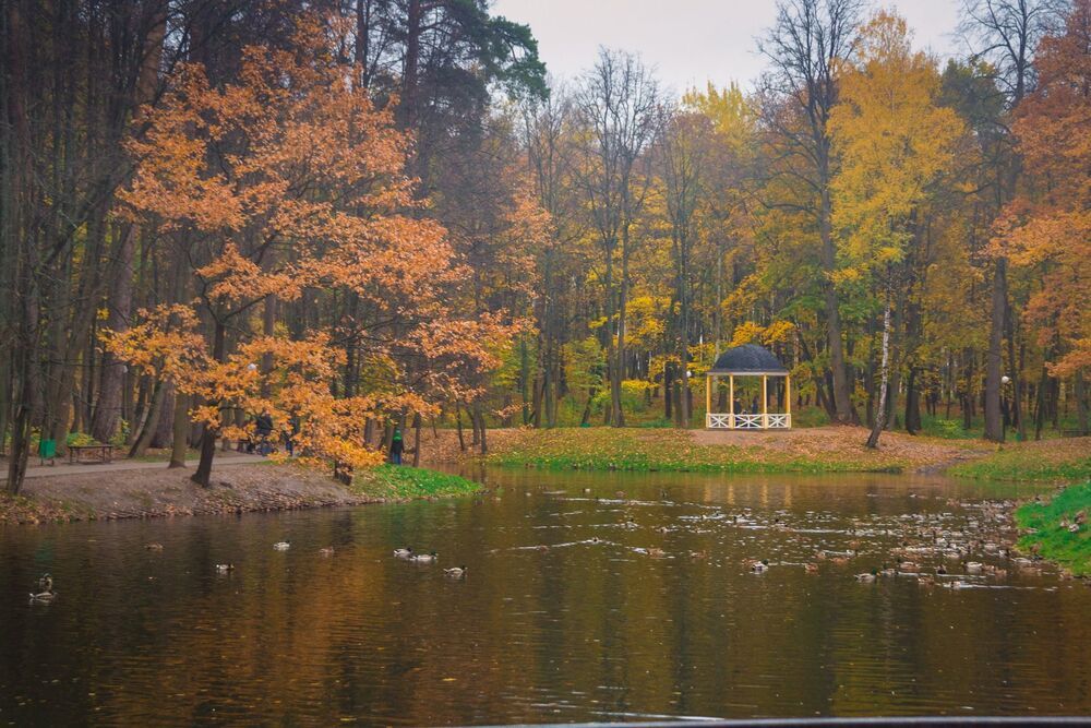 В осеннем парке городском