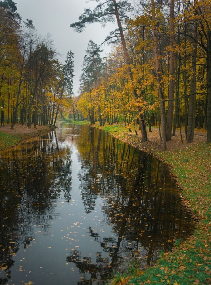 В осеннем парке городском