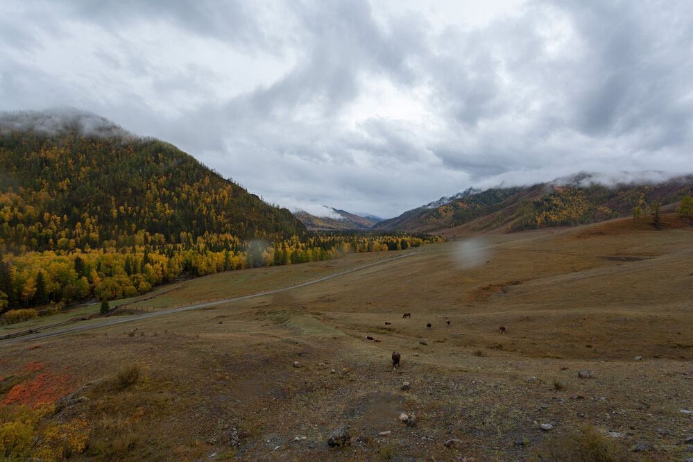 Капли