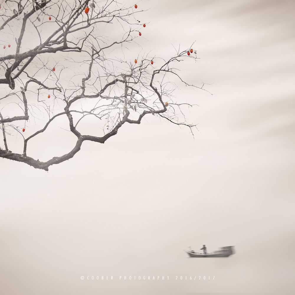 Freelance Photographer,Brand Designer