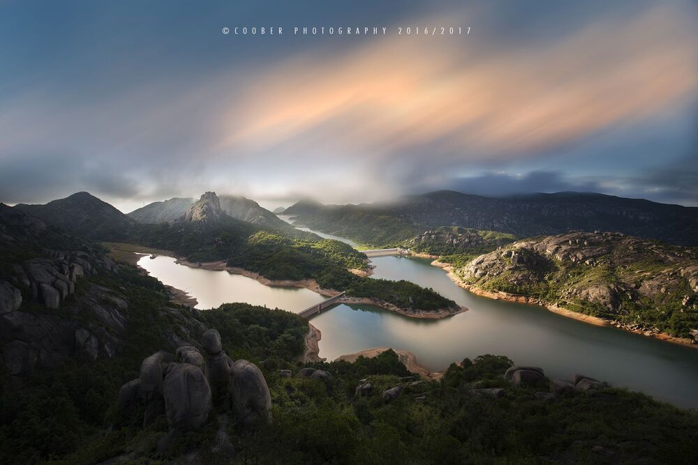 Freelance Photographer,Brand Designer