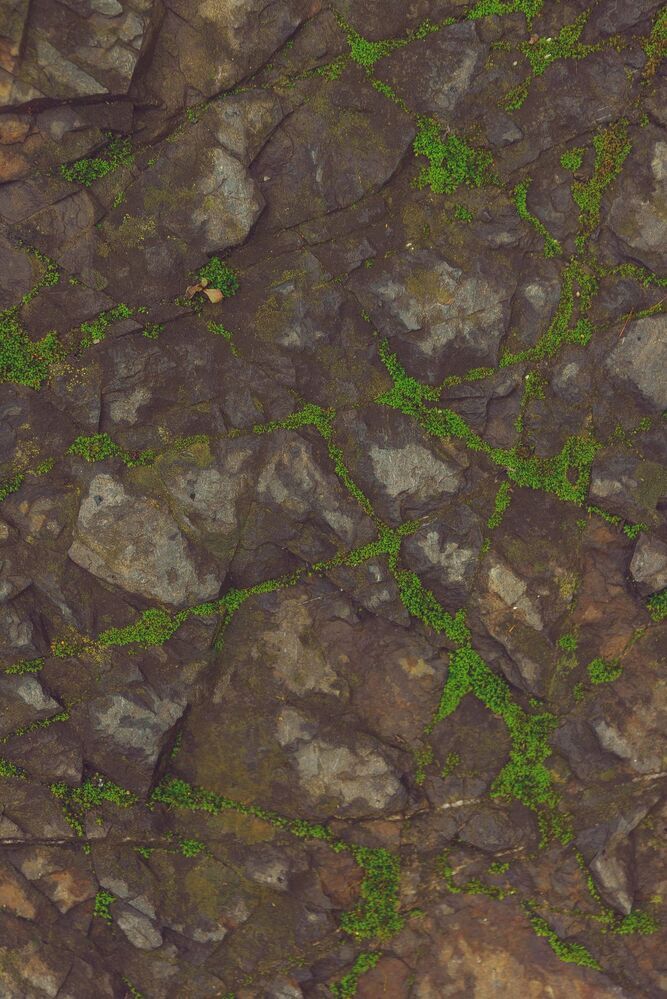 georgian texture