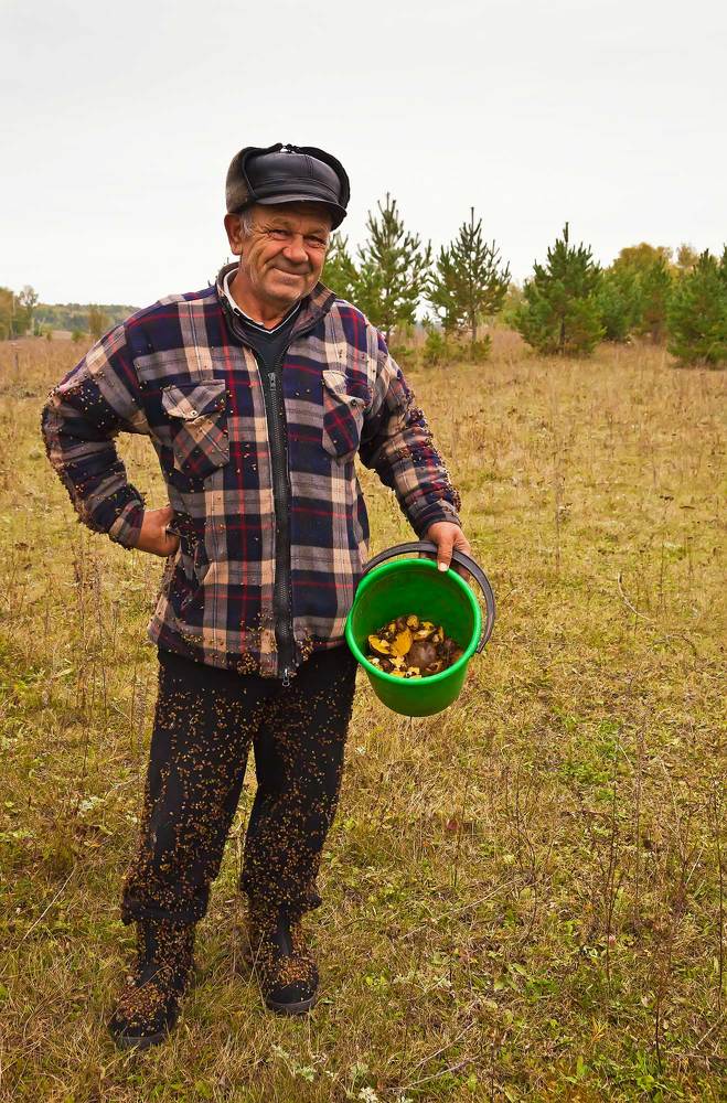 Про грибы