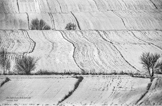 в сторону Келецкой Школы Пейзажа 2
