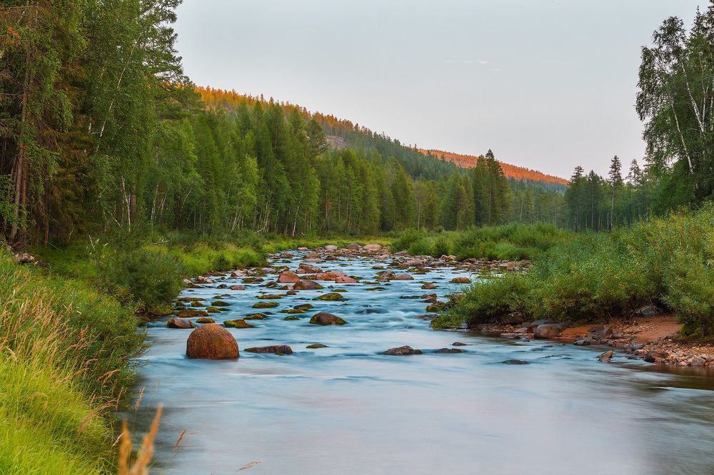 Photo 1225587