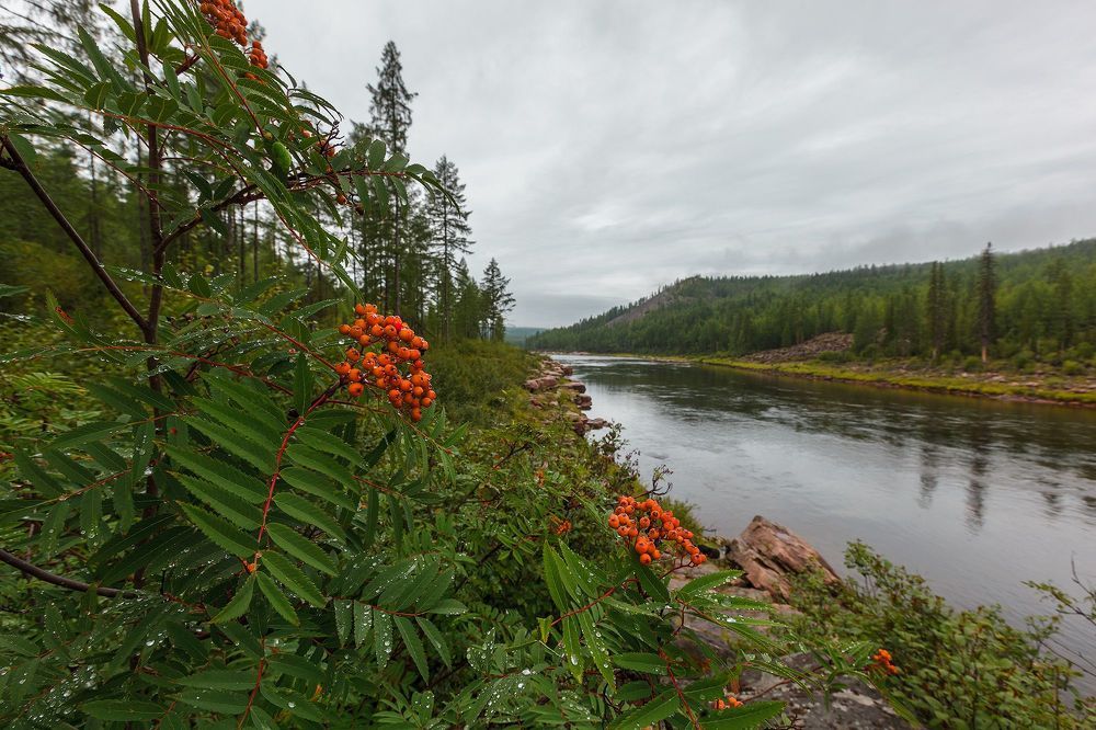 Photo 1225588