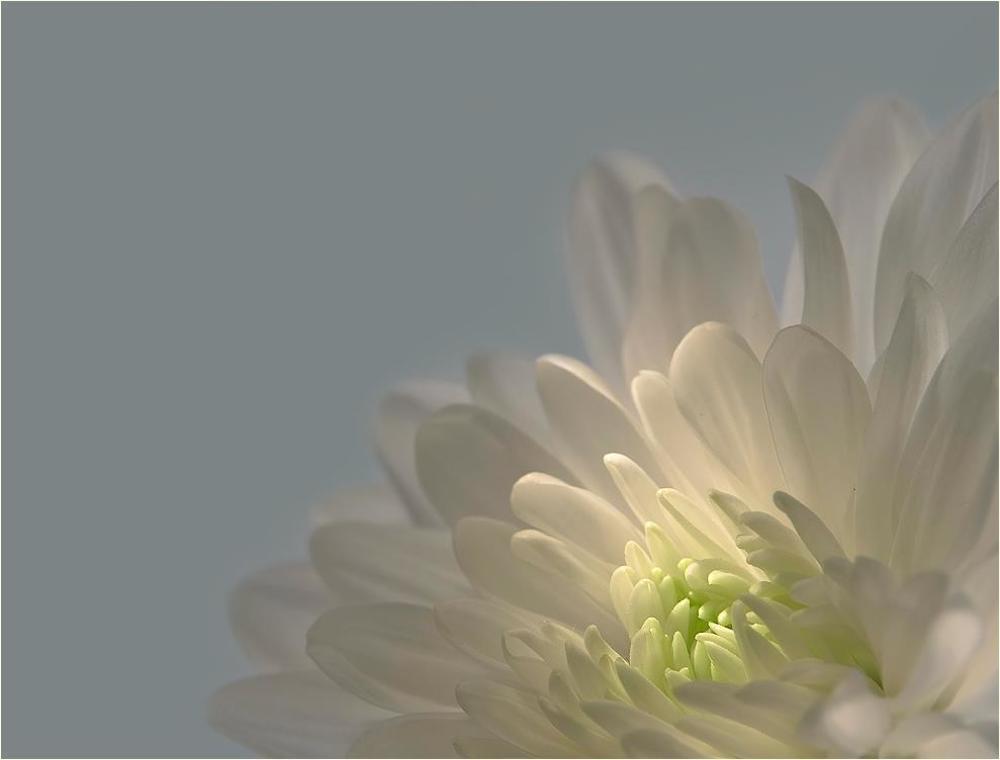 Soft light