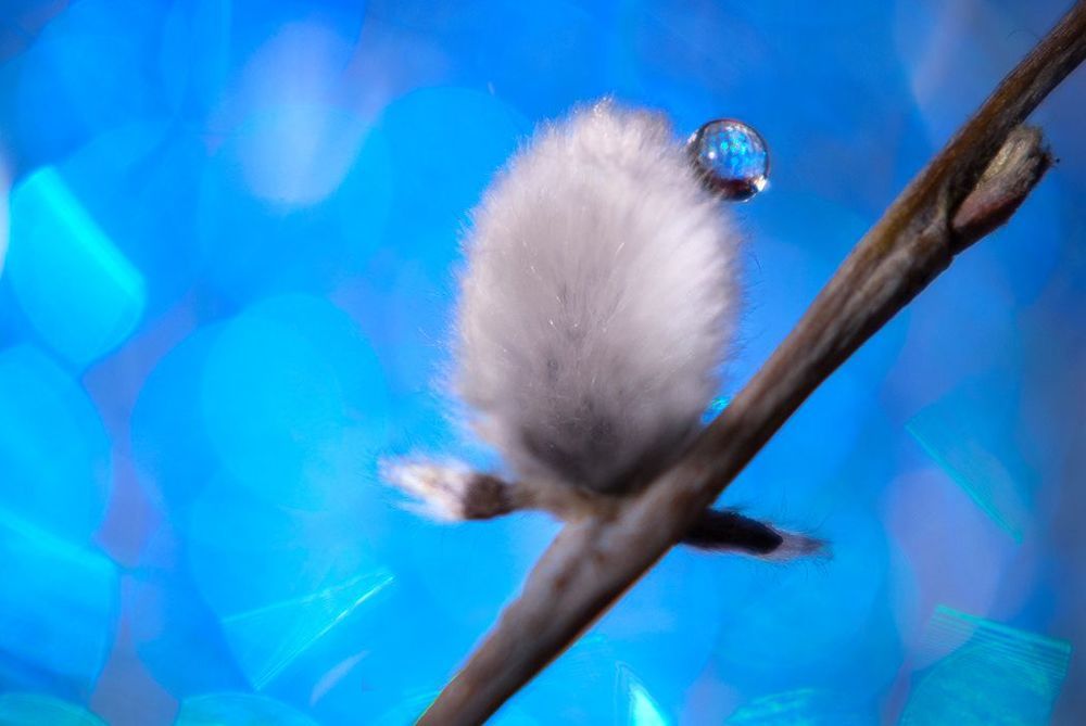 Equilibrium