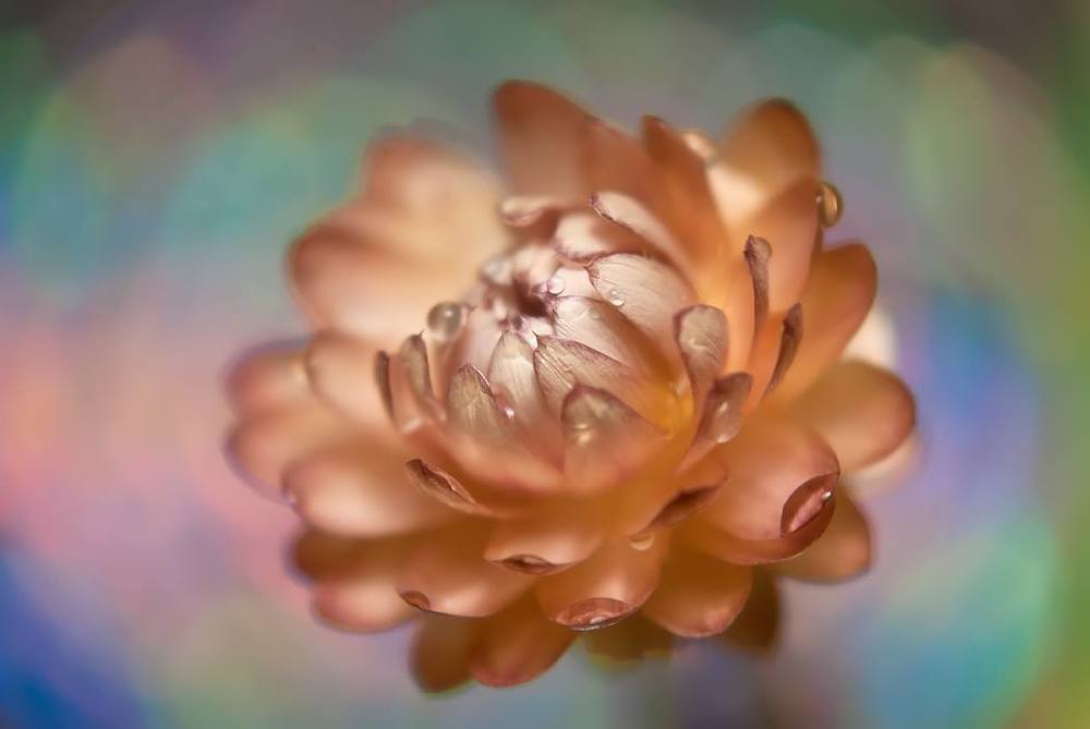Kaleidoscope