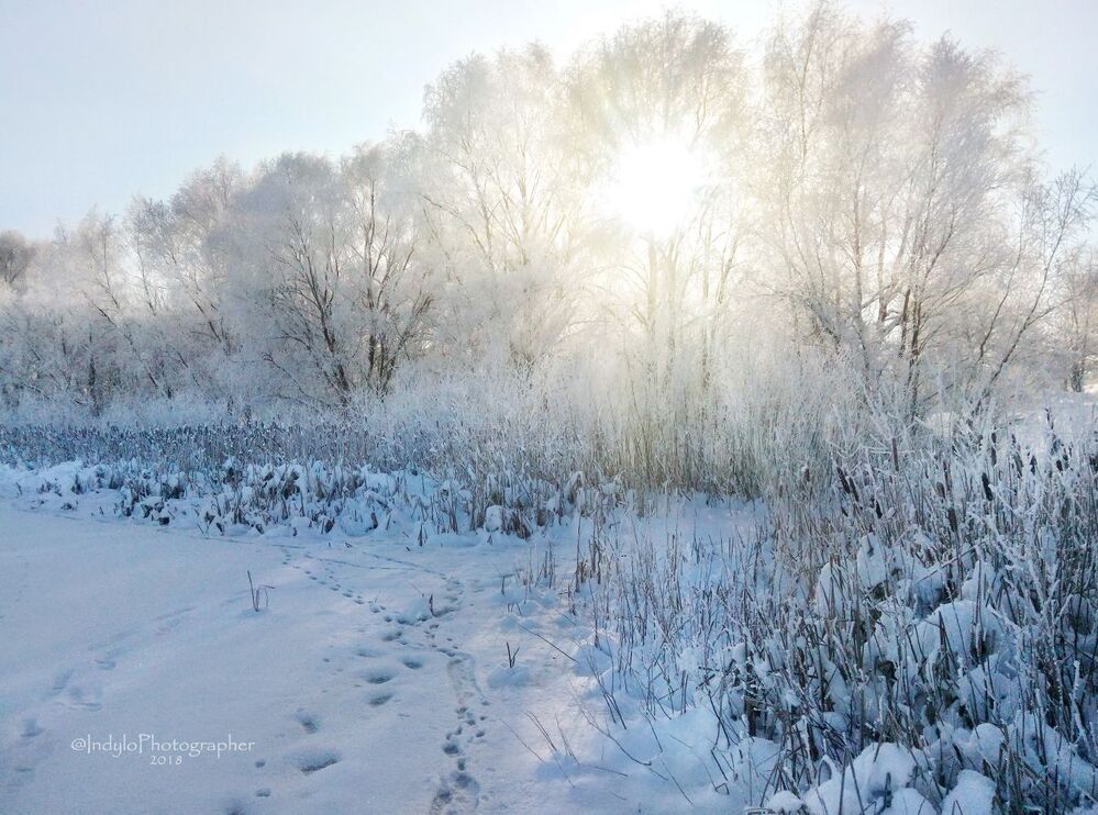 Winter frost.