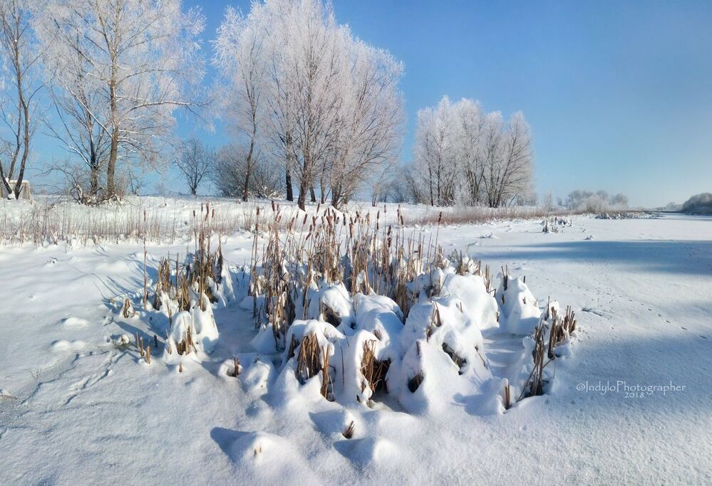 Winter frost.