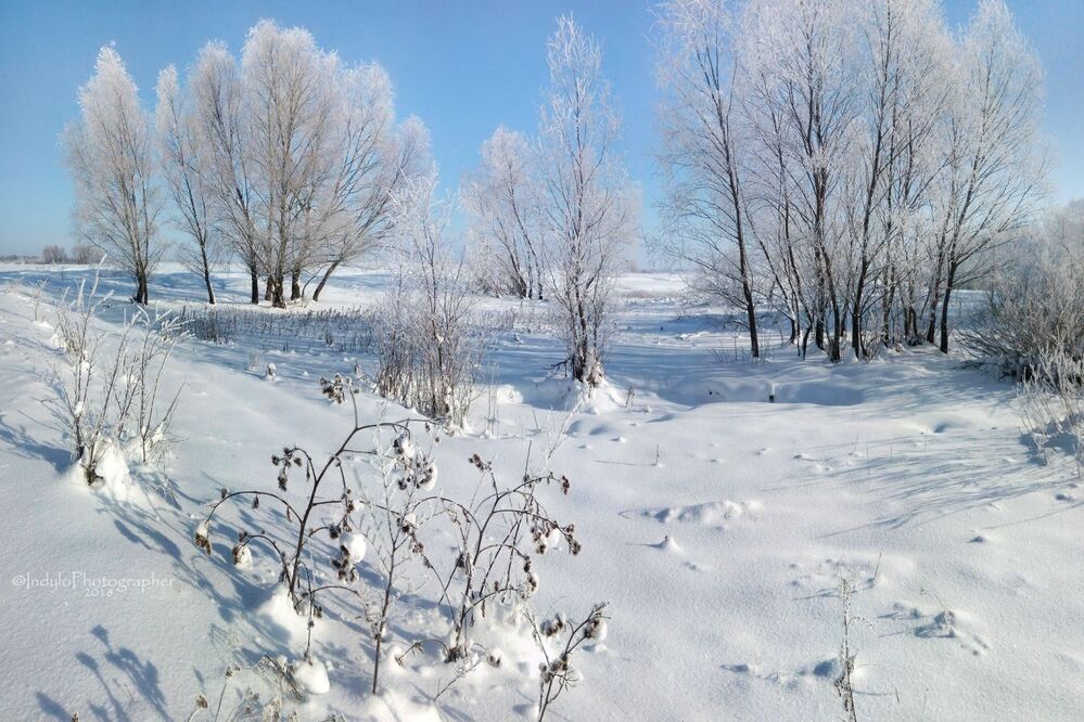 Winter frost.