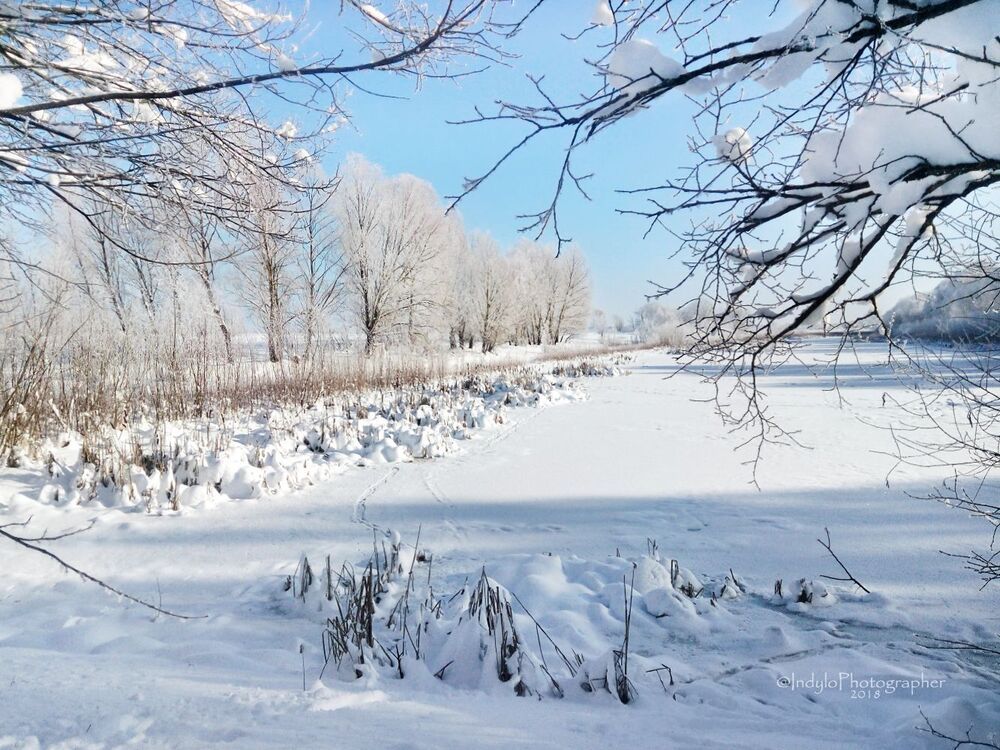 Winter frost.