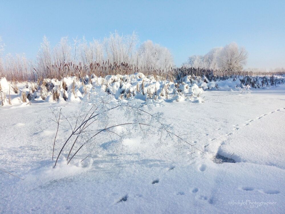 Winter frost.