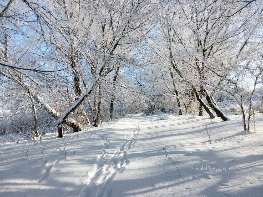 Winter frost.