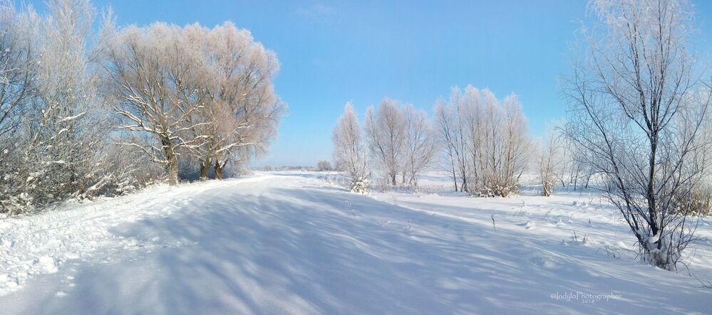 Winter frost.