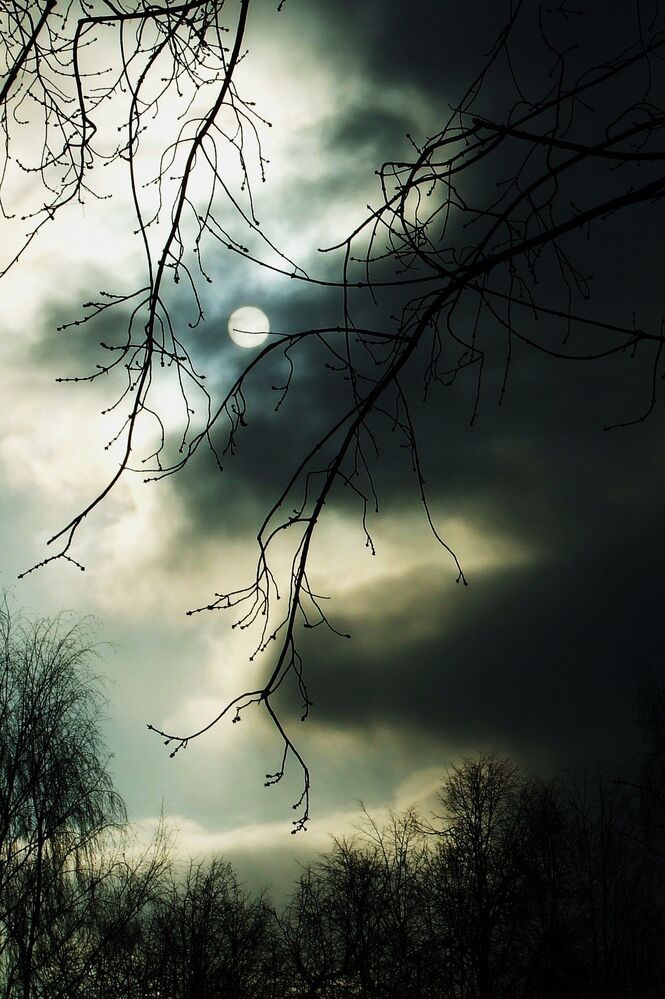 Photo 1226461
