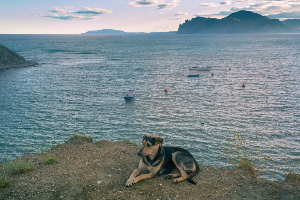 Лето в Крыму