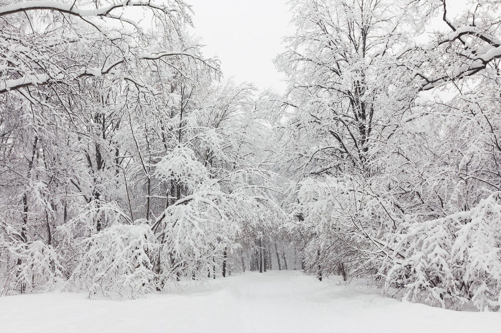 Photo 1227304