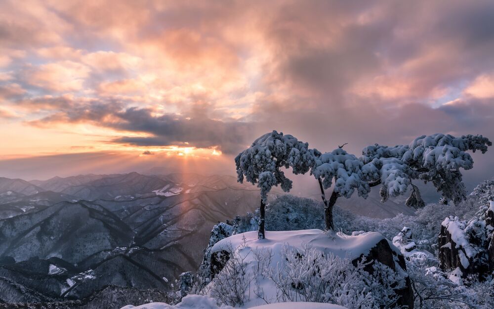 Korea landscape