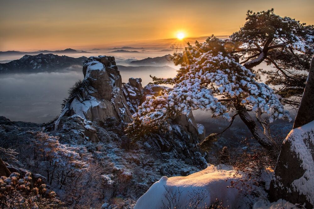 Korea landscape