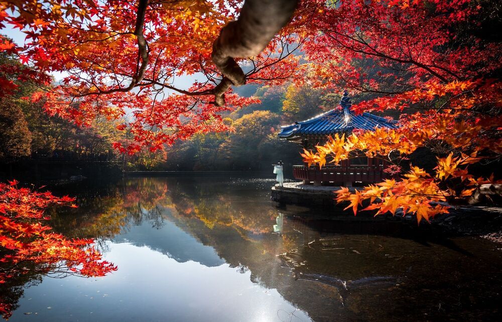 Korea landscape