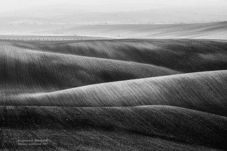 biało-czarne Morawy 1