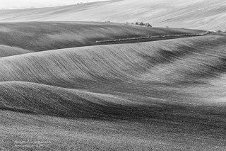 biało-czarne Morawy 2