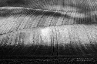 biało- czarne Morawy 3