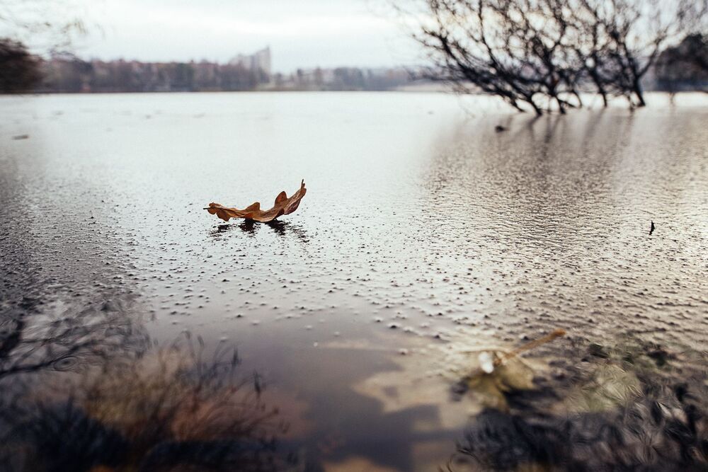 Фатия