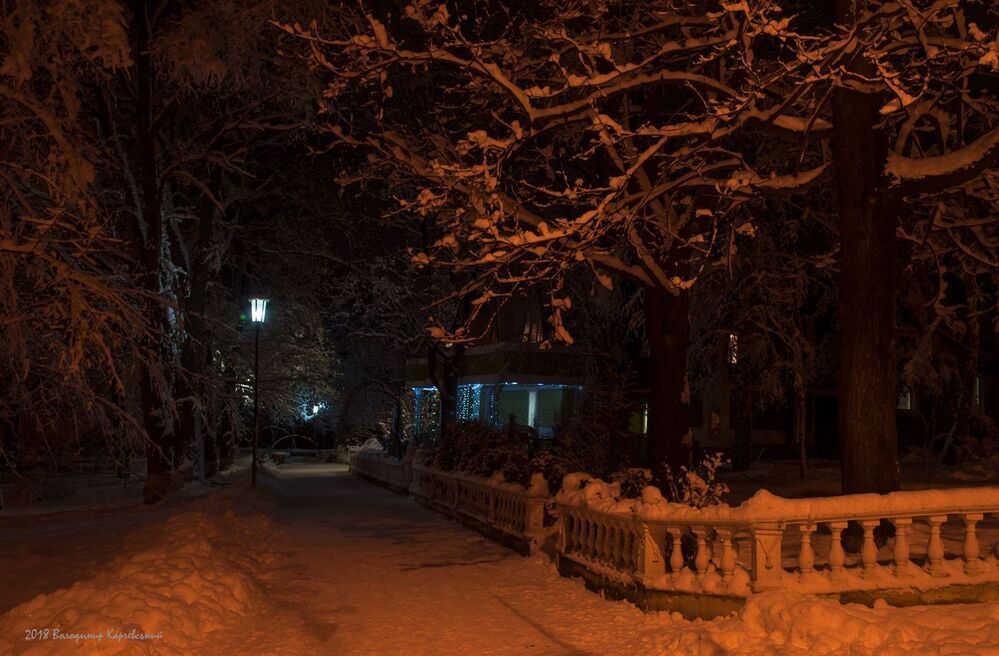Прогулка ночным парком