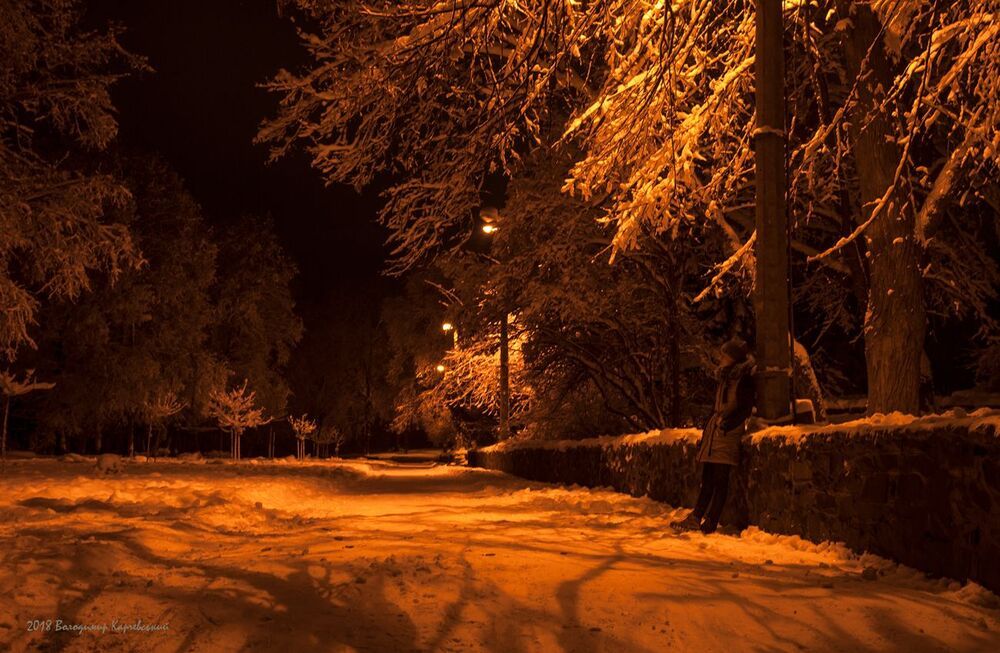 Прогулка ночным парком