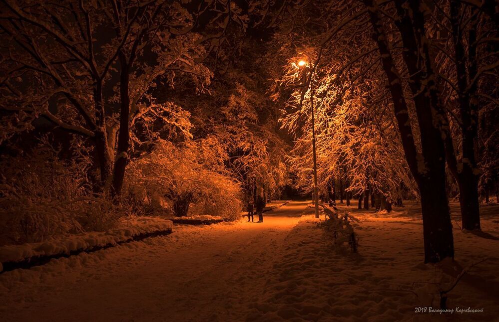 Прогулка ночным парком