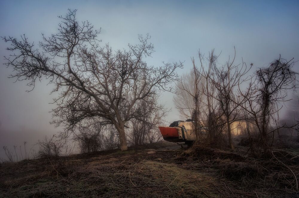 Morning fog