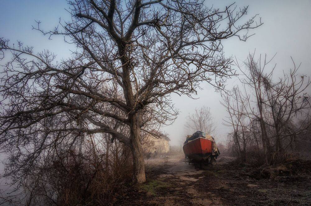 Morning fog