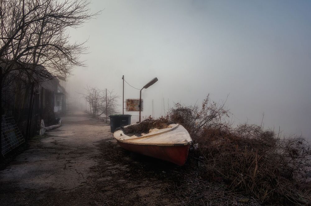 Morning fog