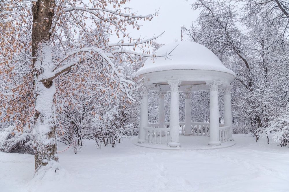 В заснеженном парке
