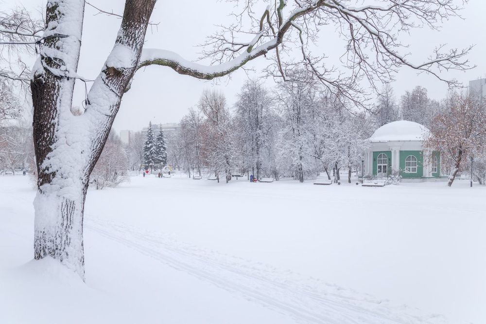В заснеженном парке
