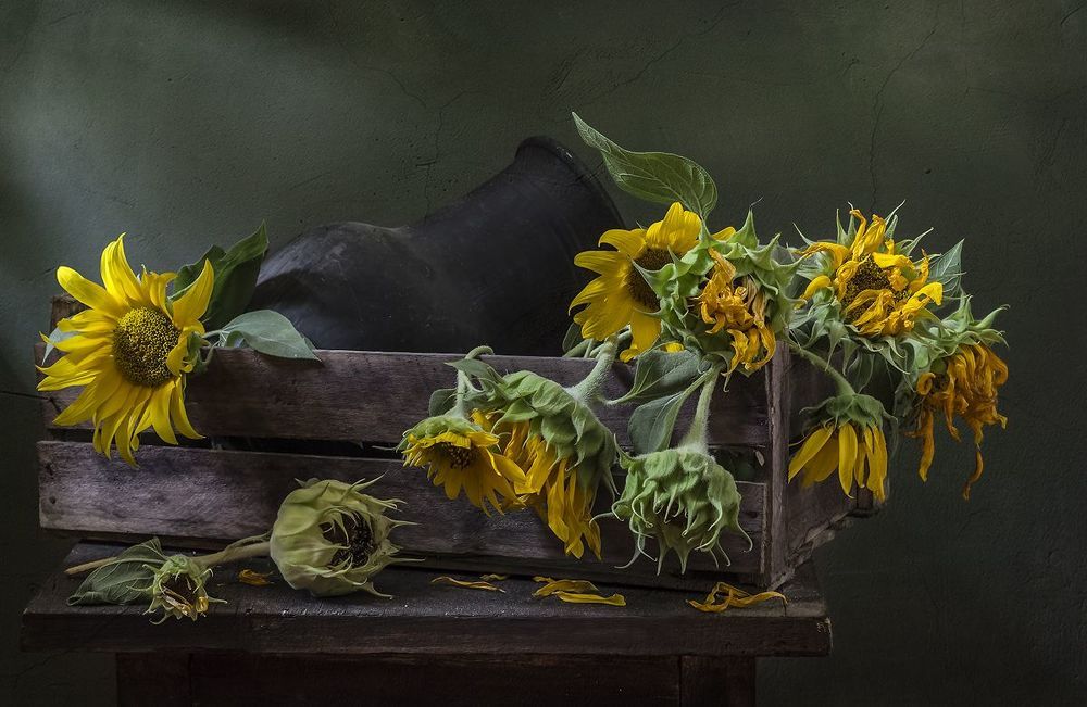Photo 1228276