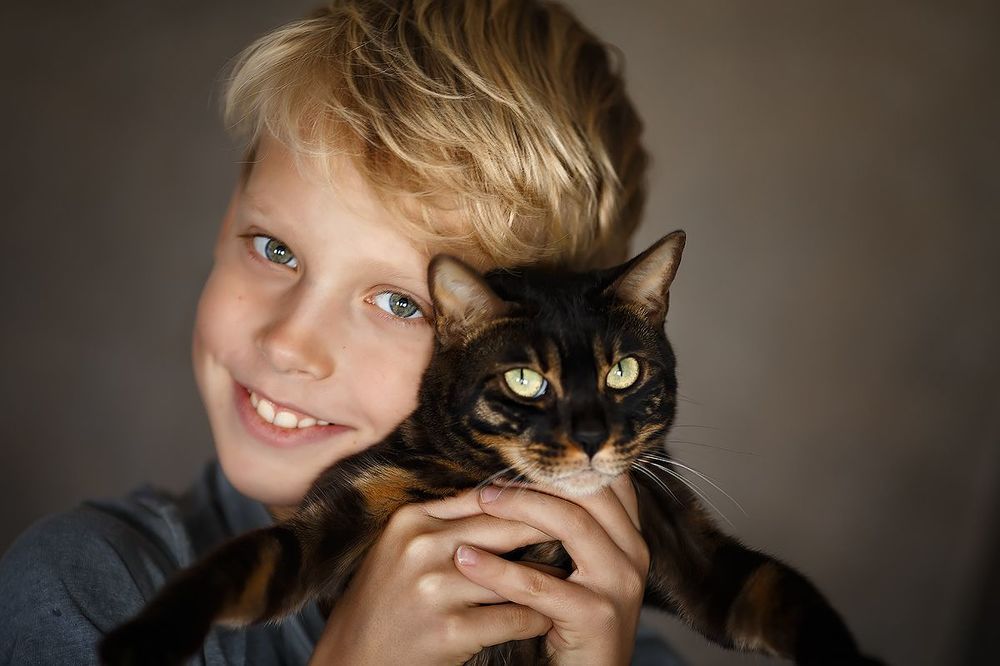 ******