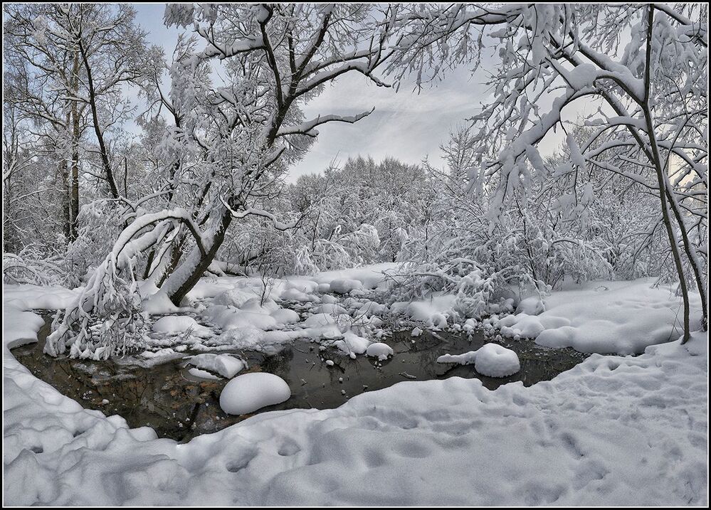 Зимние зарисовки