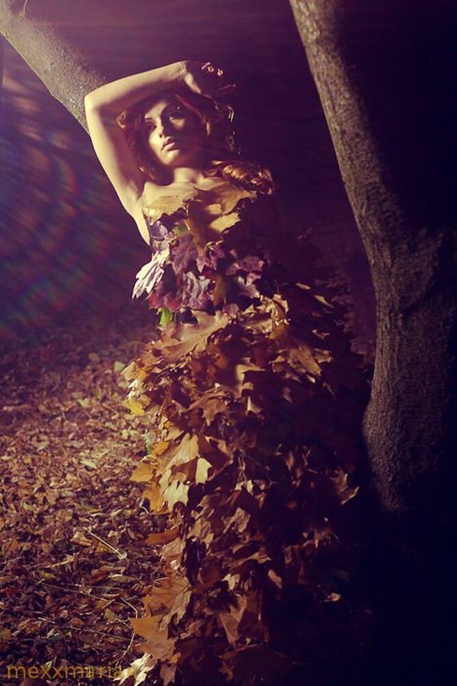 Autumn