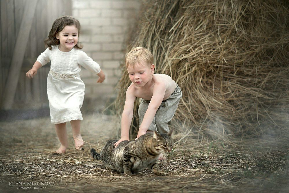 Photo 1230767