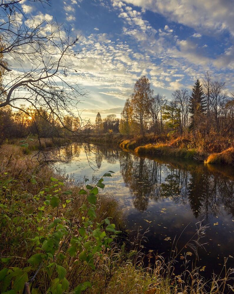 скромная золотая осень...