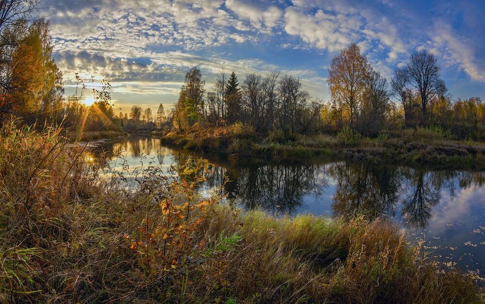 скромная золотая осень...