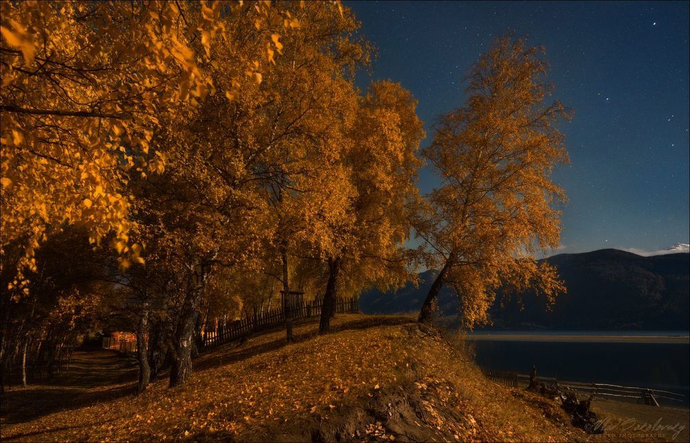 Березовая осень, ч.II