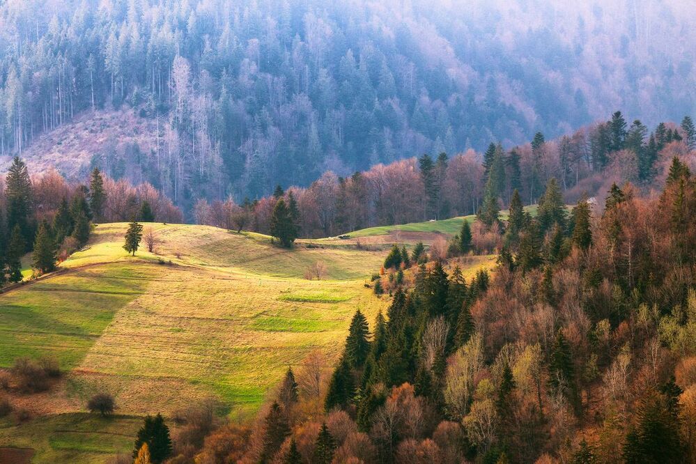 Весеннее Закарпатье