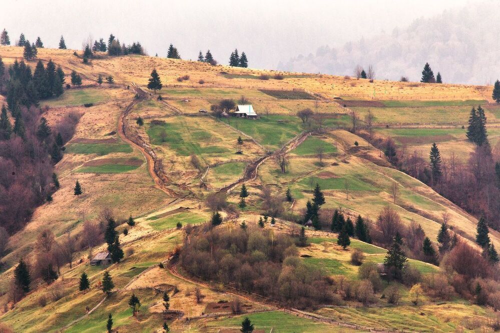 Весеннее Закарпатье