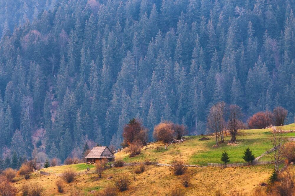 Весеннее Закарпатье