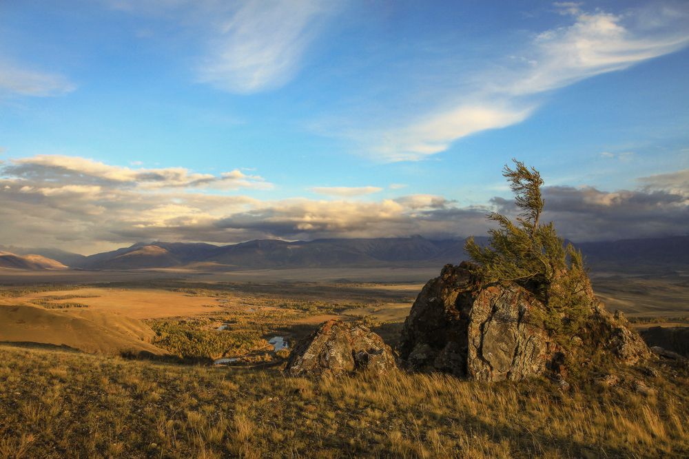 На Курайских холмах